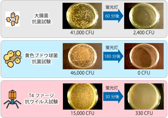 蛍光灯(200Lx)での大腸菌抗菌試験、黄色ブドウ球菌抗菌試験、T4ファージ抗ウイルス試験